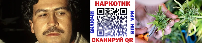  COCAIN Калининск