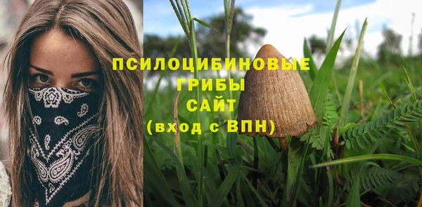 кокаин Алексеевка